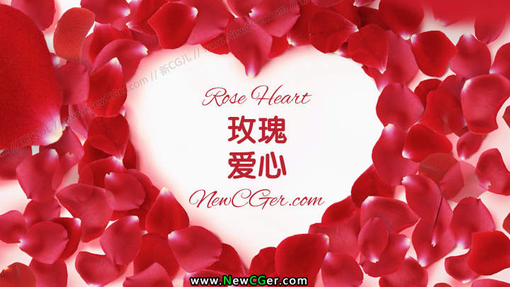 漂亮的玫瑰花瓣拼成的爱心视频素材 Rose Heart-创富院