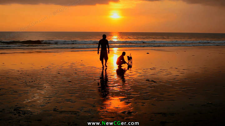 在夕阳下的海边遛狗玩耍的恋人实拍素材，couple playing on beach with dog-影创院