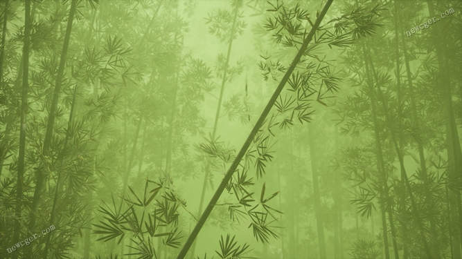 一片晨雾缭绕的绿色竹林背景视频素材-创富院