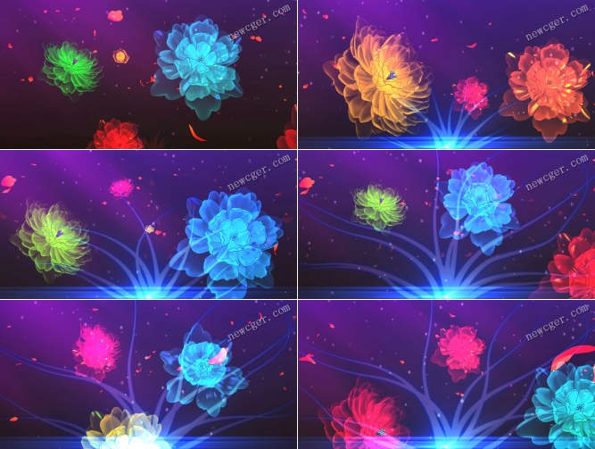绽放的牡丹花动态背景视频素材，可作LED等-创富院