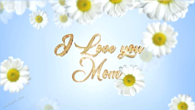 【4K背景素材】写有“I Love you Mom”的母亲节小雏菊背景视频素材-创富院