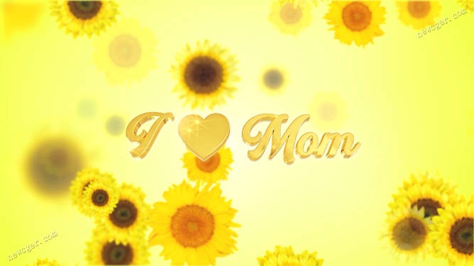 【4K背景素材】写有“I❤Mom”的母亲节太阳花背景视频素材-创富院