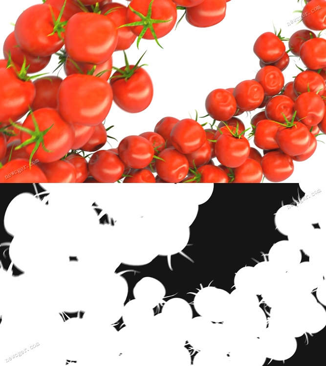 樱桃番茄在画面中流动展示的慢镜头动画视频素材，含Alpha matte版本-影创院