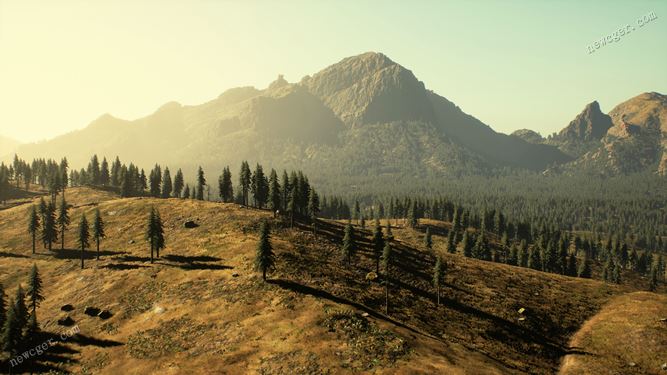 峻美的山坡森林植被风景4K超清实拍摄影视频素材-创富院