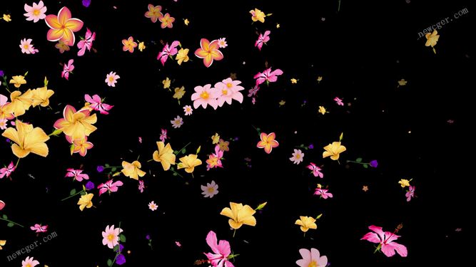 带透明通道的美丽飞行花朵循环视频素材-影创院