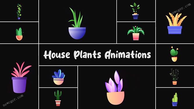 13个室内盆栽植物的卡通动画元素AE模板-创富院