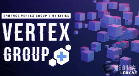 Blender插件-顶点编组标签过滤工具 Vertex Group Plus V1.0.0-影创院