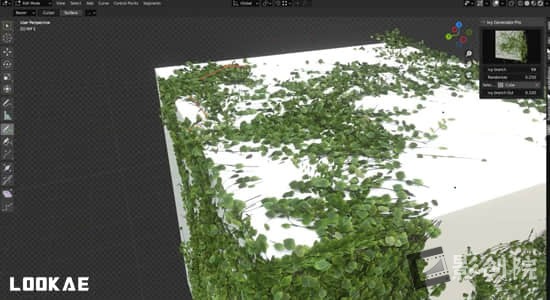 Blender插件-藤蔓爬山虎生成器 Ivy Generator Pro V1.0.0-影创院