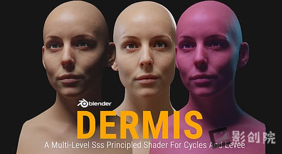 Blender插件-真实皮肤着色器预设 Dermis Shader V1.1-影创院