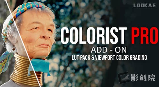 Blender插件-专业色彩分级LUTs调色工具 Colorist Pro V1.0.0+Asset预设-影创院