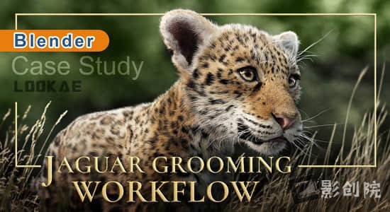 Blender教程-三维真实毛发模拟制作 Jaguar Grooming Workflow-创富院