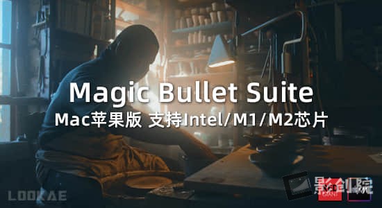 Mac苹果版-红巨人降噪磨皮美颜调色套装AE/PR/达芬奇/FCPX插件v2023.2.1 Looks/Colorista/Mojo-影创院