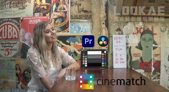 PR/达芬奇插件-摄像机色彩空间匹配调色插件 CineMatch v1.02 Win版-影创院