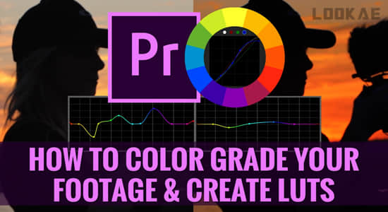PR教程-视频调色基础学习课程(英文字幕) Color Grading & Creating Luts-影创院