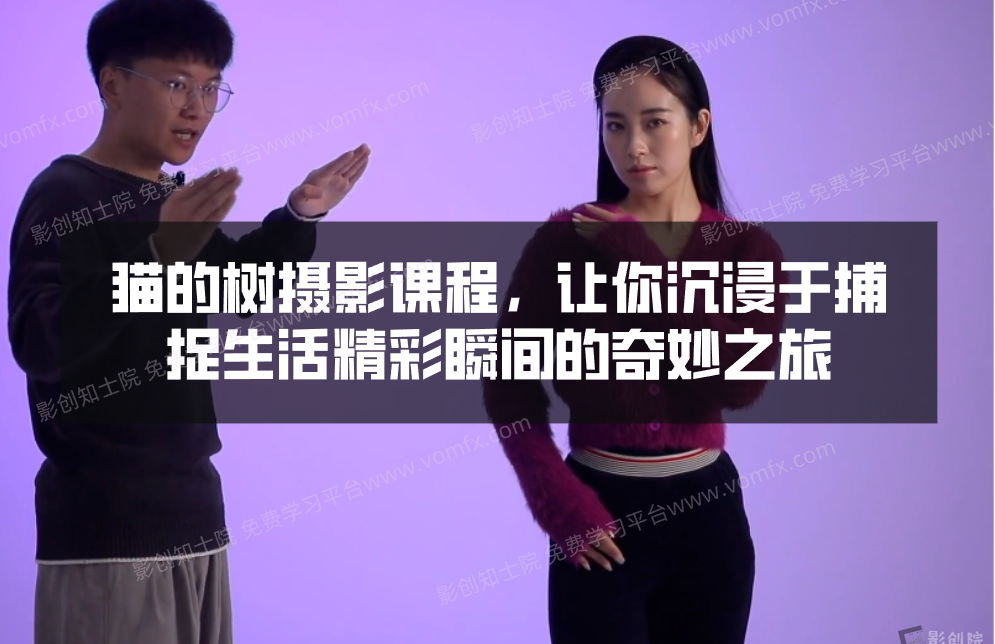 猫的树摄影课程，让你沉浸于捕捉生活精彩瞬间的奇妙之旅-创富院