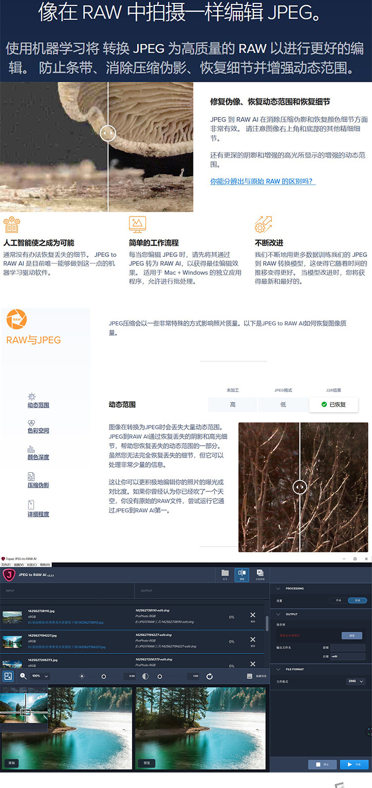 Topaz JPEG to RAW图片处理软件JPG转RAW DNG独立软件支持win mac