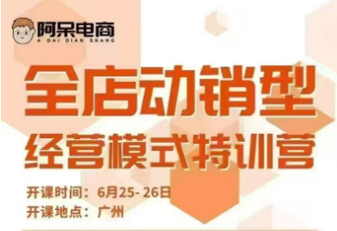阿呆电商-全店动销型经营模式6月25-26日广州线下课-创富院