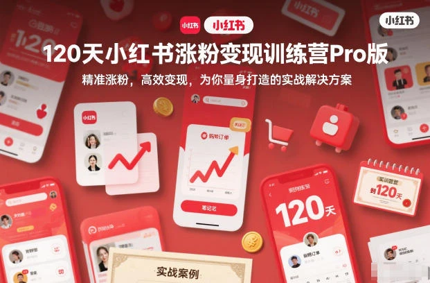 【精】120天小红书涨粉变现训练营Pro版，精准涨粉，高效变现，为你量身打造的实战解决方案-创富院