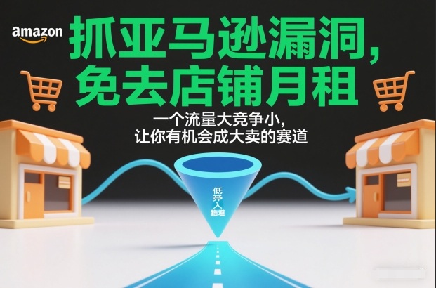 抓亚马逊漏洞，免去店铺月租，一个流量大竞争小，让你有机会成大卖的赛道-创富院
