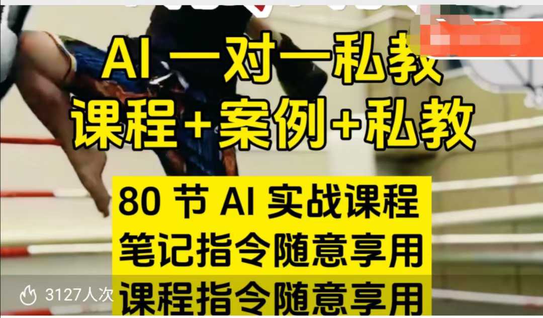 AI指令实战课，课程+案例，80节AI实战课程，笔记指令随意享用，课程指令随意享用（更新7月）-创富院