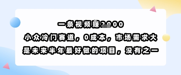 一条视频挣1k，小众冷门赛道，0成本，市场需求大，是未来半年最好做的项目，没有之一-创富院