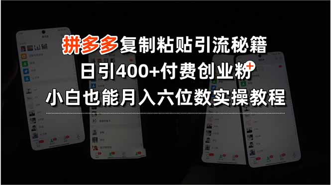 拼多多复制粘贴引流秘籍，日引400+付费创业粉，小白也能月入六位数实操…-创富院