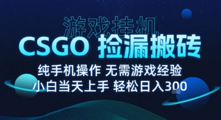 8月最新游戏搬砖，CSGO纯挂G，不需要玩游戏，实现真挂G，月入1W+【揭秘】-创富院