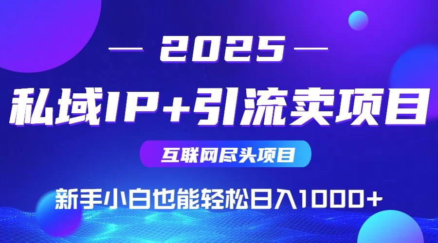 （15531期）2025网创尽头项目，私域IP+引流，新手小白也能在家日入1000+-创富院