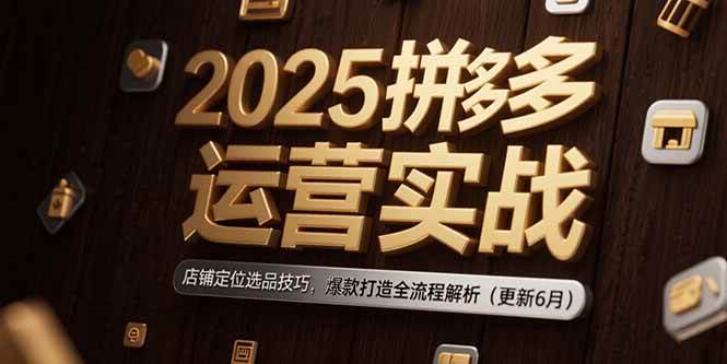 （15235期）2025拼多多运营实战：店铺定位选品技巧，爆款打造全流程解析（更新6月）-创富院