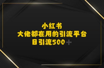 小红书，大佬都在用的大粉平台，日引流500+-创富院
