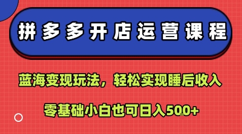 拼多多开店运营课程：蓝海变现玩法，轻松实现睡后收入，零基础小白也可日入5张-创富院