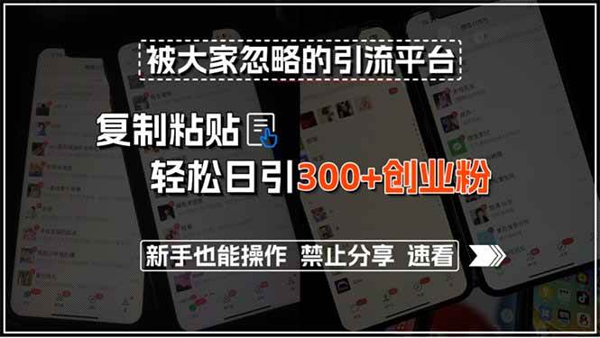 （15428期）被大家忽略的引流平台，复制粘贴轻松日引300+创业粉，新手也能操作，禁…-创富院