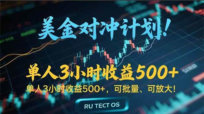 （15321期）长久稳定的撸美金项目，平均3小时收入 500+，可公司实地考察实地操作！-创富院