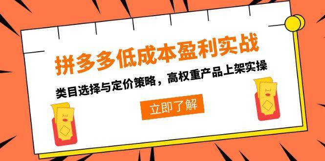 （15143期）拼多多低成本盈利实战，类目选择与定价策略，高权重产品上架实操-影创院