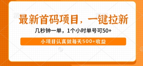 最新首码项目，操作最简单，收益高，一键拉新，1个小时单号可50+，小项目认真做每天5张+收益【揭秘】-创富院