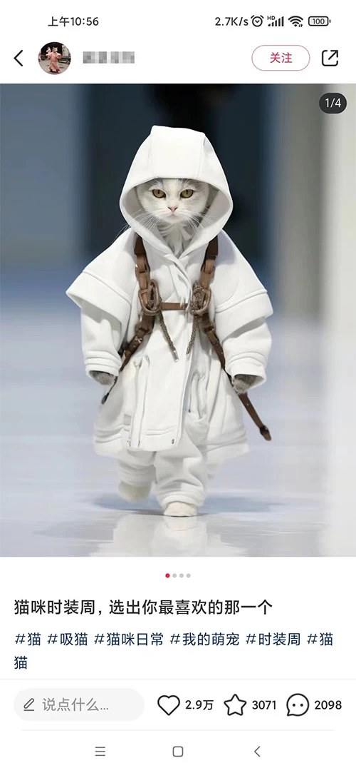 小红书最新爆款项目,Animal 秀,7天变现 1w+