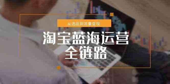 淘宝蓝海运营全链路，从选品到流量变现，小类目突围完整方案-影创院