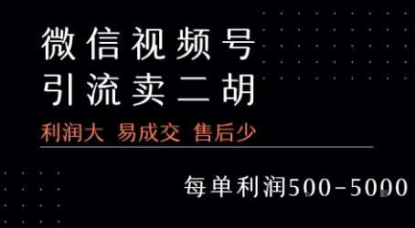 视频号卖二胡教程，利润大 易成交 售后少，一单利润5张+-创富院