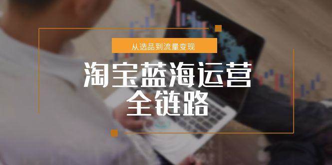 （15160期）淘宝蓝海运营全链路，从选品到流量变现，小类目突围完整方案-创富院