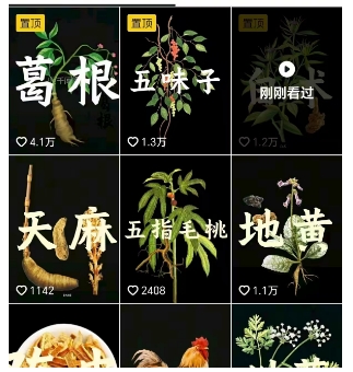 抖音中草药赛道，用AI做中草药故事视频，45条作品涨粉13W，橱窗带货猛猛出单-创富院