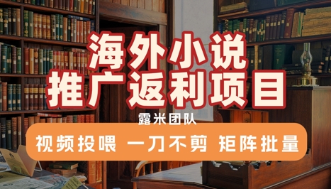 海外小说推广返利项目，视频投喂， 一刀不剪，矩阵批量-创富院