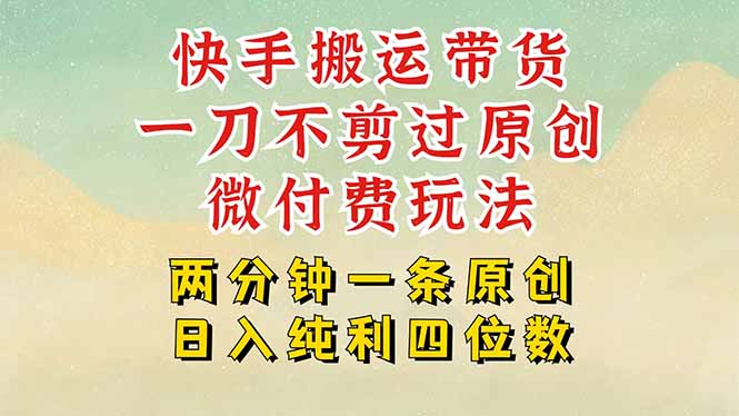 快手黑科技搬运带货，一刀不剪过原创，微付费投流玩法，轻松日入四位数…-创富院