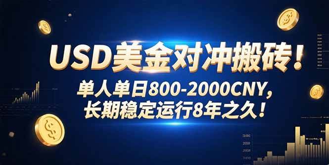 （15551期）USD美金对冲搬砖!单人单日800-2000CNY，长期稳定运行8年之久!-创富院