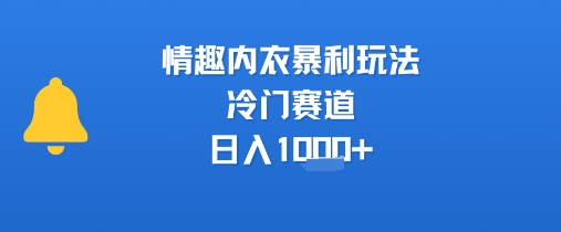 情趣内衣暴利玩法，冷门赛道，日入1k+-创富院
