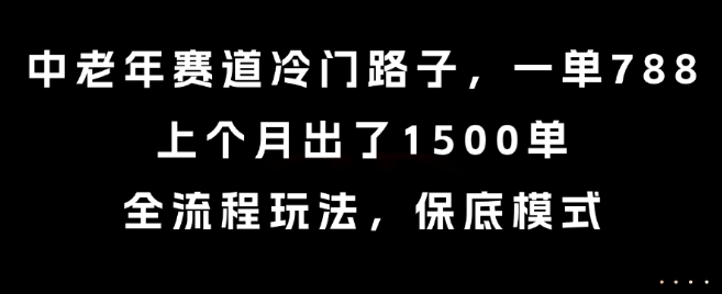 中老年赛道冷门路子，一单788，上个月出了1500单，全流程玩法，保底模式【揭秘】-创富院