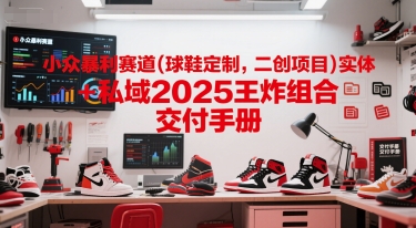 小众暴利赛道(球鞋定制，二创项目)实体+私域2025王炸组合 交付手册-影创院