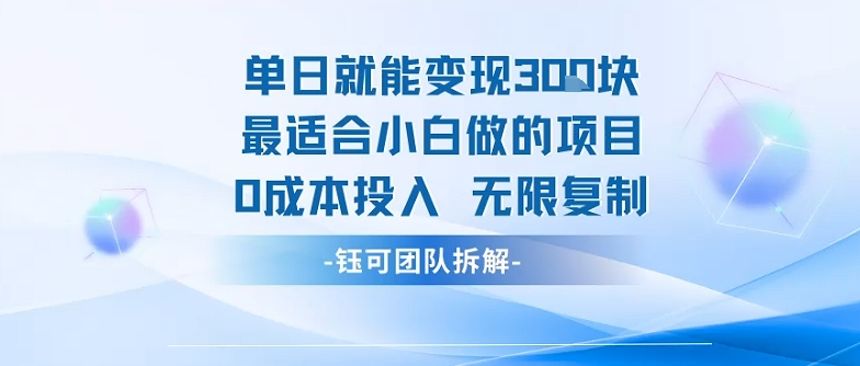 单日就能变现3张最适合小白做的项目0成本投入 无限复制-创富院