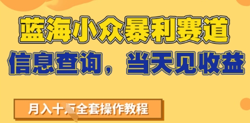 蓝海小众暴利赛道，信息查询，当天见收益，不讲玄学，7天搞了2W+-创富院