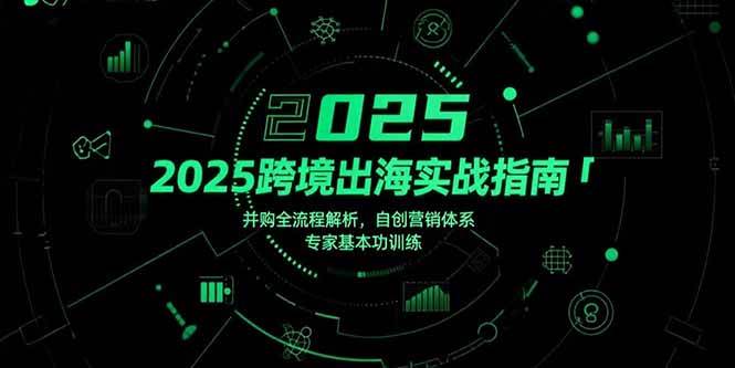 （15503期）2025跨境出海实战指南，并购全流程解析，自创营销体系，专家基本功训练-创富院