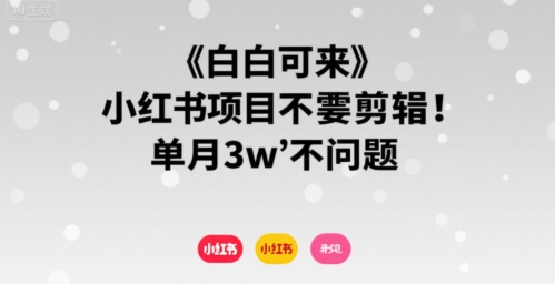 小白可来 小红书项目不需要剪辑 单月3w不是问题-创富院